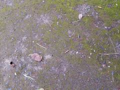 -约翰·菲茨杰拉德·肯尼迪国际机场