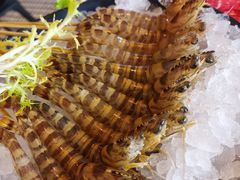 -官也街澳门火锅(新源里店)
