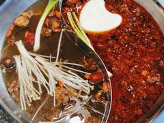 鸳鸯锅底-谭鸭血老火锅(慈云寺店)