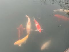 -津品味小吃(大学湾店)