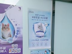 -半岛宠物医院24小时(科华中路店)