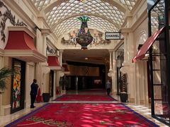 -拉斯维加斯永利酒店