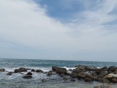 -广东惠东海龟国家级自然保护区