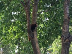 -石家庄市动物园