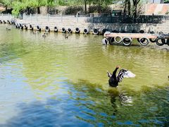 -新疆天山野生动物园