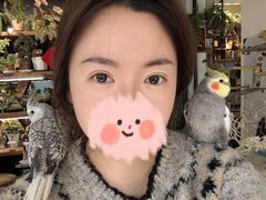 -吉丁鸟咖·异宠·寄养