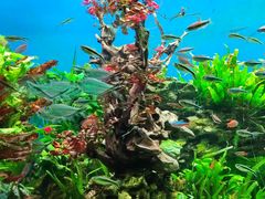 -太平洋海底世界