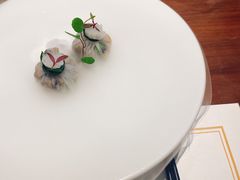 -觀芷隐轩