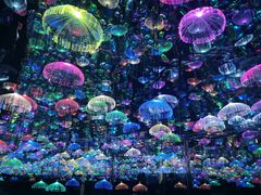 -天津梵高星空艺术馆(天河城旗舰店)