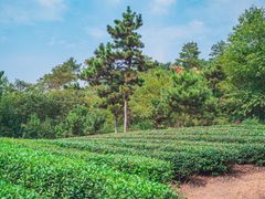 -南京金牛湖风景区