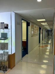 -杭州贝瑞斯美华妇儿医院·早孕·产检·儿科