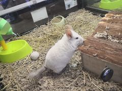 -宠物世家(仲盛世界商城店)