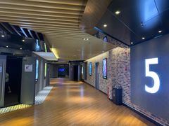 -SFC上影百联影城(大上海4DX店)