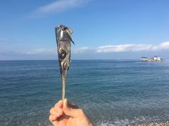 -七星潭蓝天广场