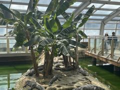 -石家庄市动物园