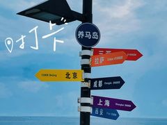 -养马岛旅游度假区
