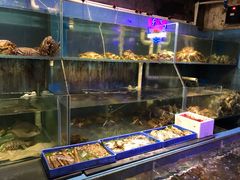 -辉记炭烧海鲜大排档·老字号(福田店)