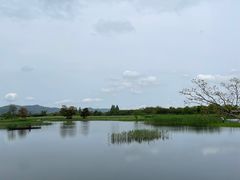 -良渚古城遗址公园