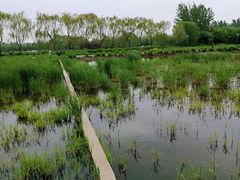 -大兴滨河森林公园