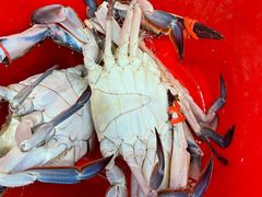 -韩记海鲜饺子(隆仁世家店)