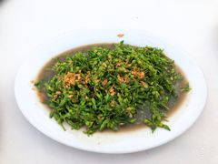 -越海渔村