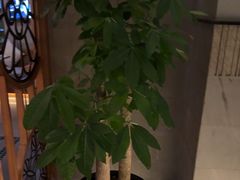 -浅深Cheersum(曹杨店)
