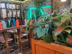 -丽江庭院之爱在路上(西单店)