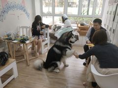 -李小姐の猫咖啡馆(五角场店)