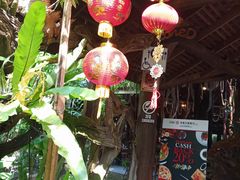 -绿光森林餐厅