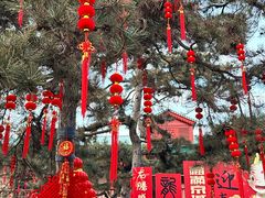 -北京海洋馆