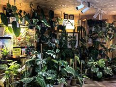 -Rabbit Cafe私房西餐甜点咖啡(栖霞路店)