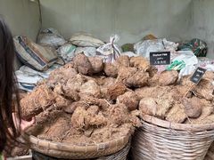 -大象粑粑造纸公园