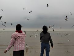 -老虎石海上公园