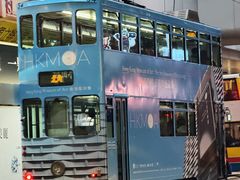 -Big Bus Tours 敞篷观光巴士