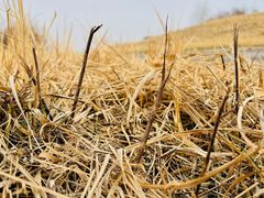 -渭河城市绿地运动公园