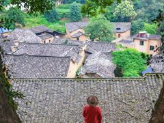 -杨家堂村