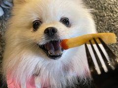 -J Create城市露营咖啡·简餐·宠物(上海动物园店)