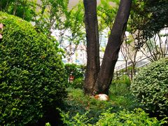 -静安公园(静安寺街道)