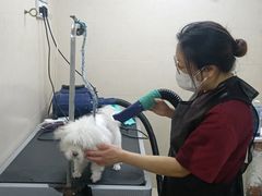 -美联众合动物医院(唯恩分院)