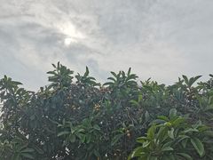 -东山风景区(洞庭东山)