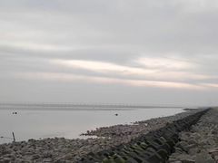 -南汇嘴观海公园