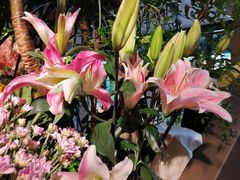 -春暖花开(西溪店)