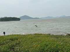 -东钱湖小普陀景区