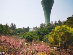 -狐尾山公园