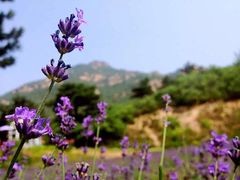 -云峰山自然风景区