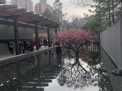 景点-静安雕塑公园