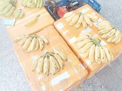-青澳湾北回归线广场