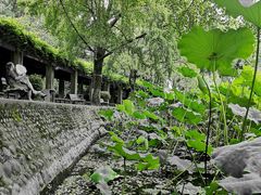 -四川大学(华西校区)