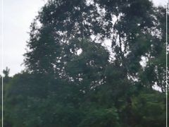 -共和国摇篮旅游区-红井景区