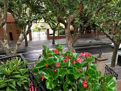 -玫瑰厅上海菜(兴国路店)